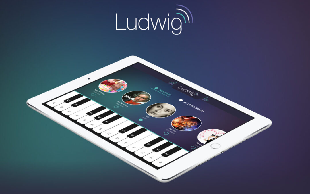 Ludwig Project – Music for Deaf